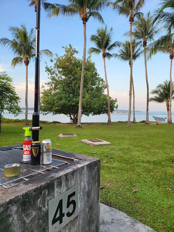 Numbered barbecue pit 45 at Pasir Ris Park, showing its grill grate with the sea behind