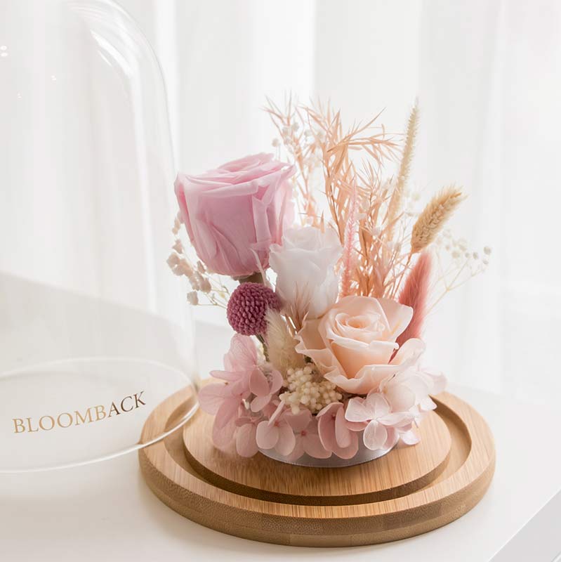BloomBack Pte. Ltd.