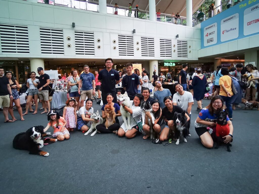 Top in Singapore: Best Singapore: