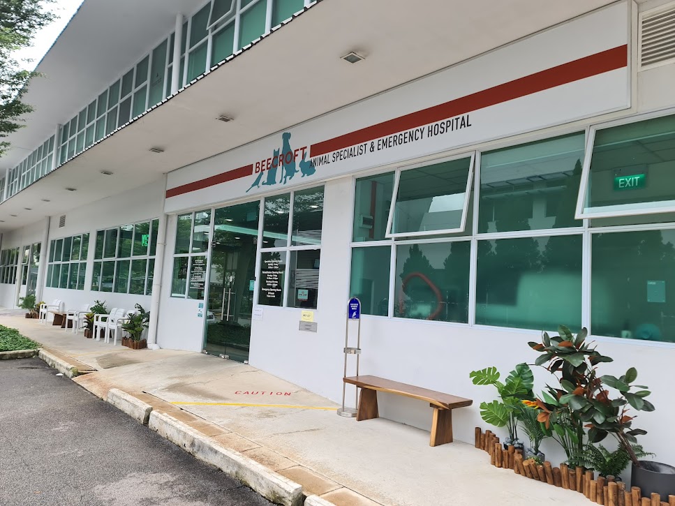 Best Singapore: