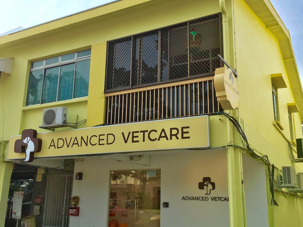 Best Singapore:
