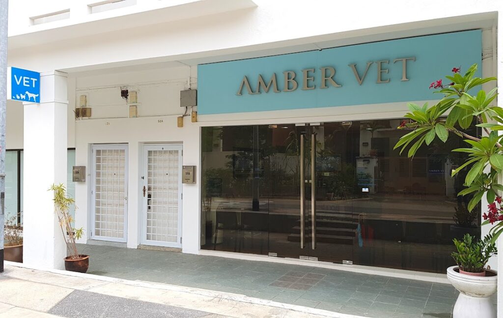 Best Singapore: