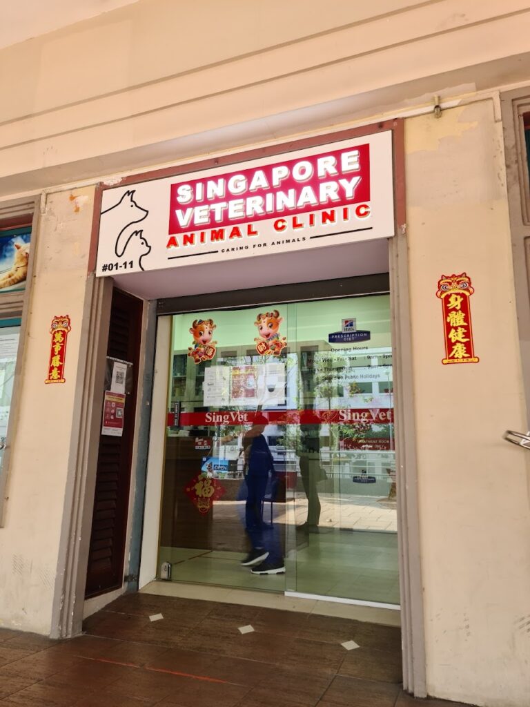 Best Singapore: