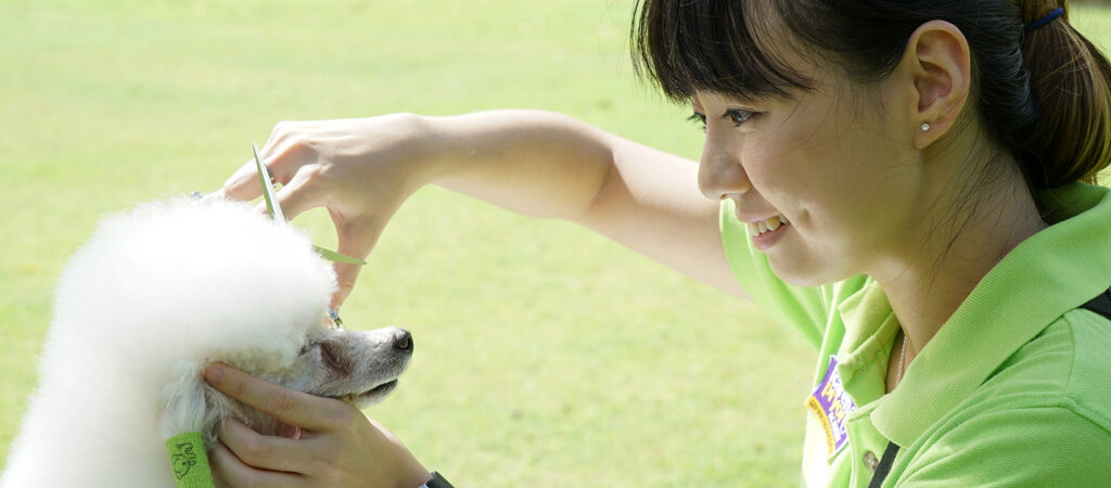 Top in Singapore: Pawrus-Pet-Grooming-Academy-Studio
