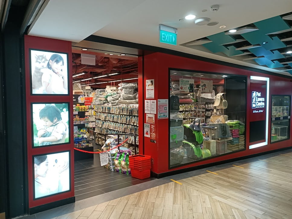 Best Singapore: