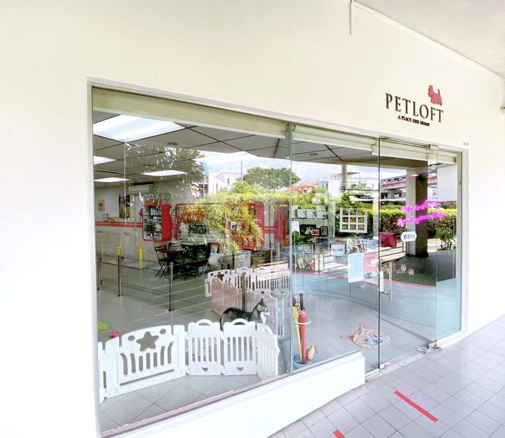 Best Singapore: