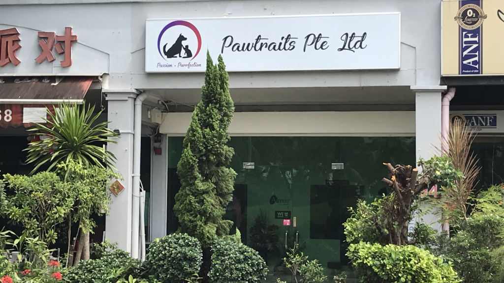Best Singapore: