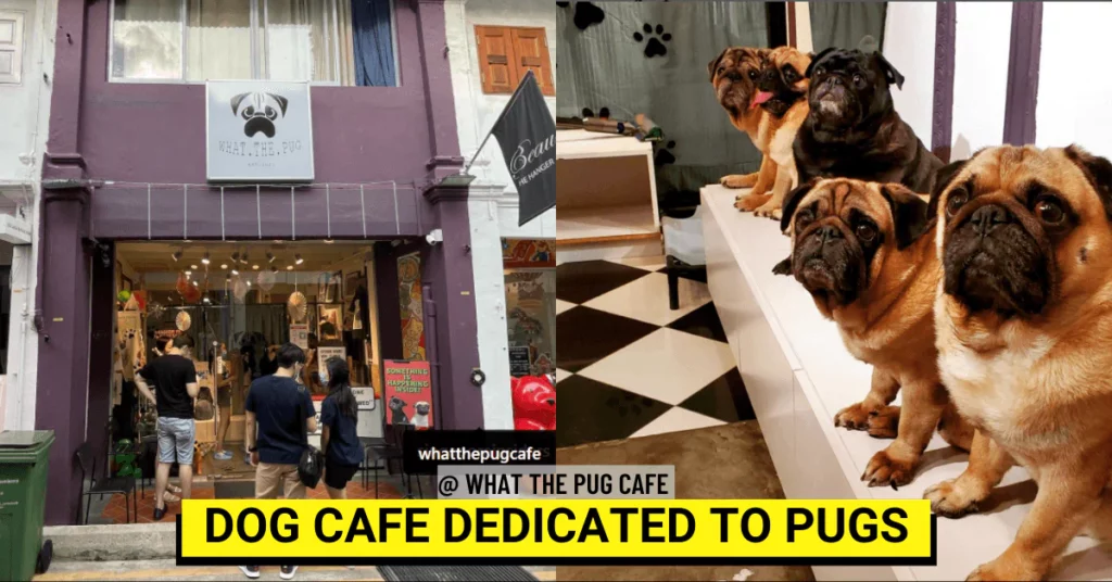Best Singapore: