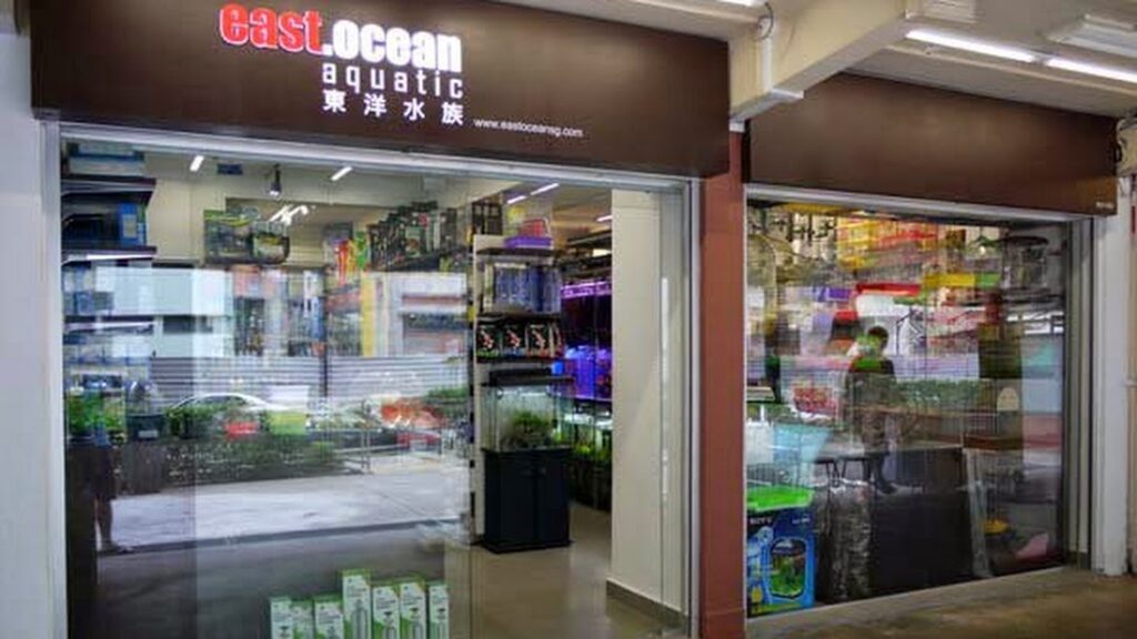 Best Singapore:
