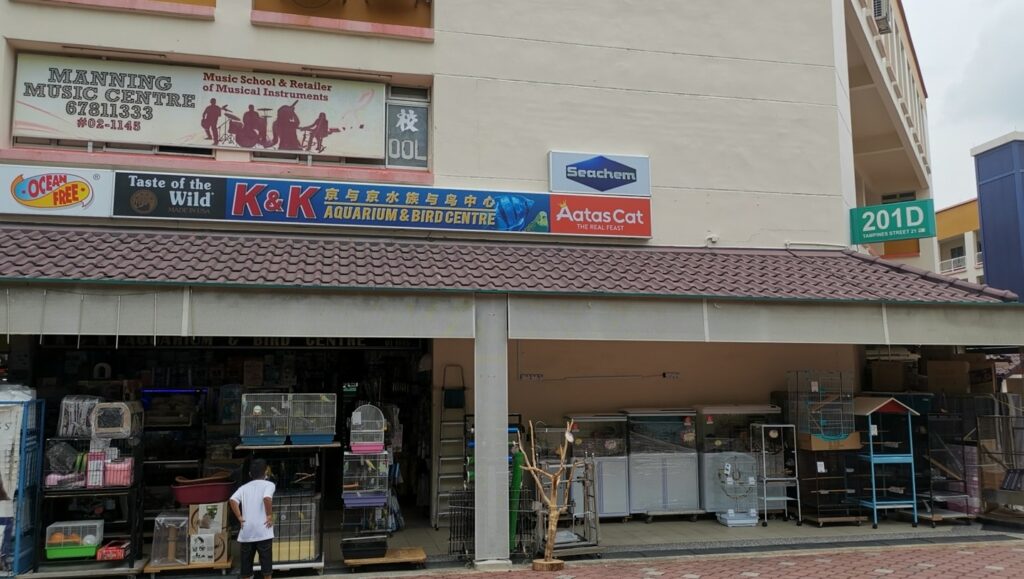 Best Singapore: