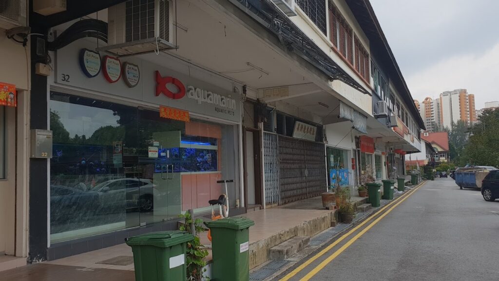 Best Singapore: