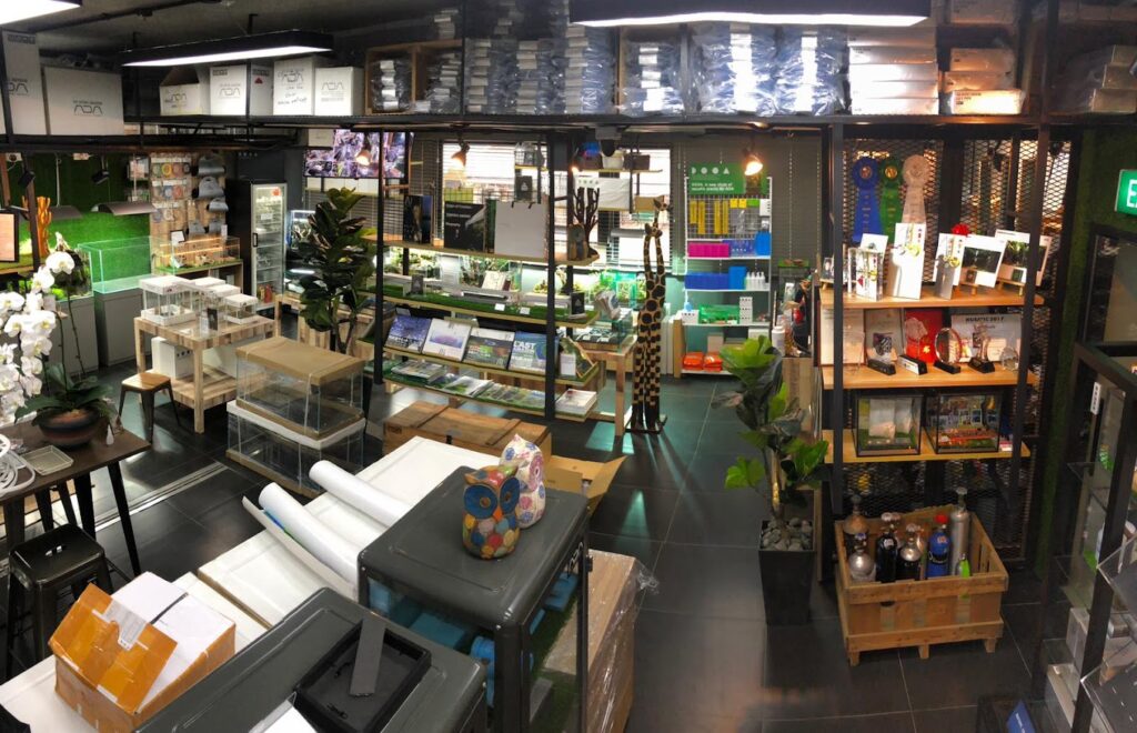 Best Singapore: