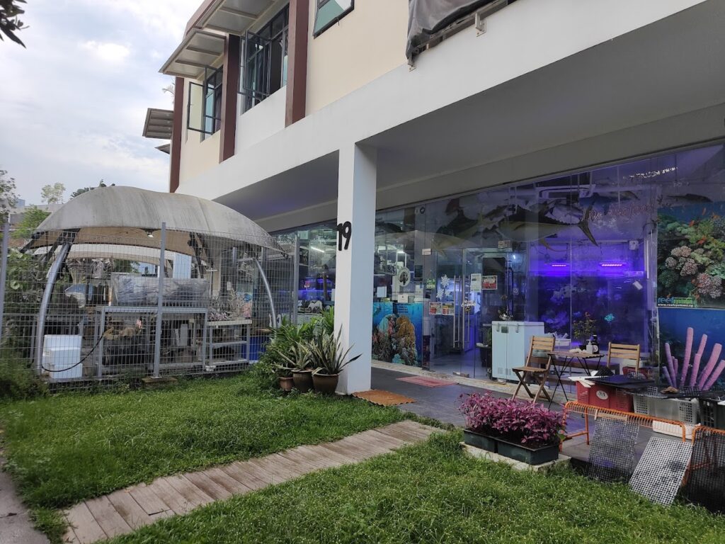 Best Singapore: