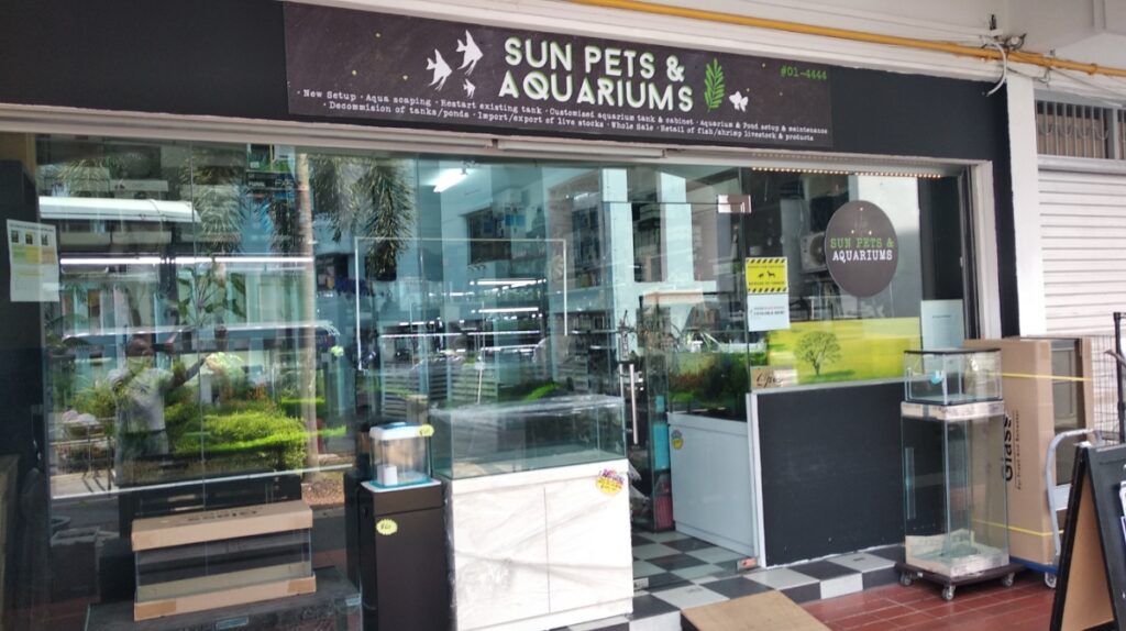 Best Singapore: