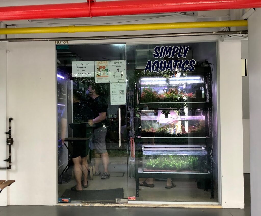 Best Singapore:
