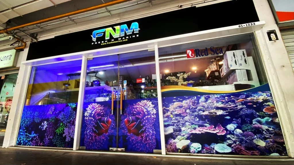 Best Singapore: