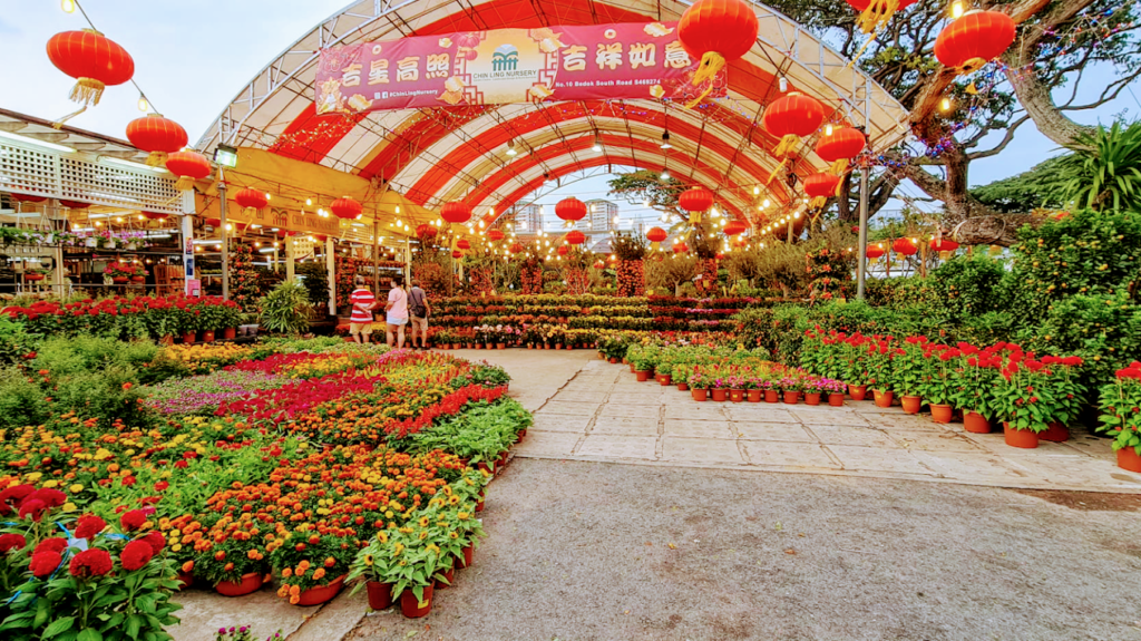 Best Singapore: