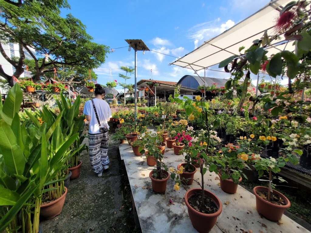 Best Singapore: