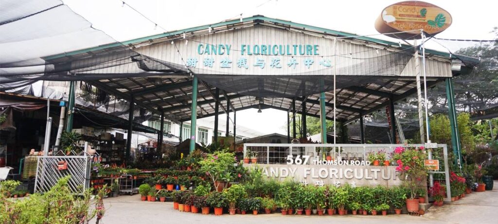 Best Singapore: