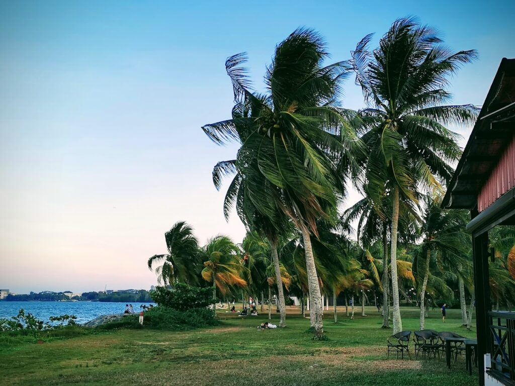 Top in Singapore: Best Singapore:
