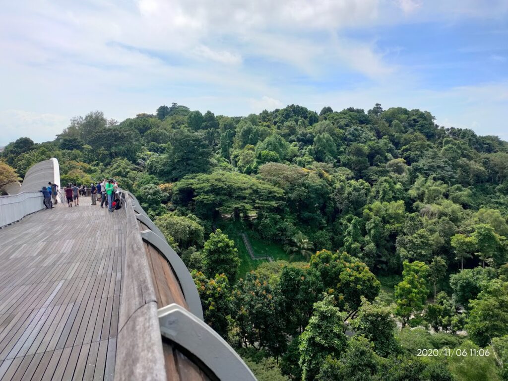 Top in Singapore: Best Singapore: